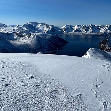 Leilighet I Rorbu Pa Kaldfarnes - Yttersia Senja Esterno foto