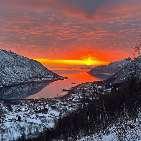 Leilighet I Rorbu Pa Kaldfarnes - Yttersia Senja Esterno foto
