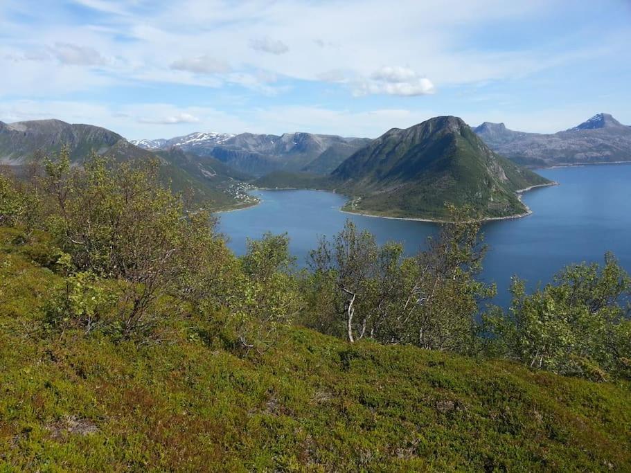 Leilighet I Rorbu Pa Kaldfarnes - Yttersia Senja Esterno foto