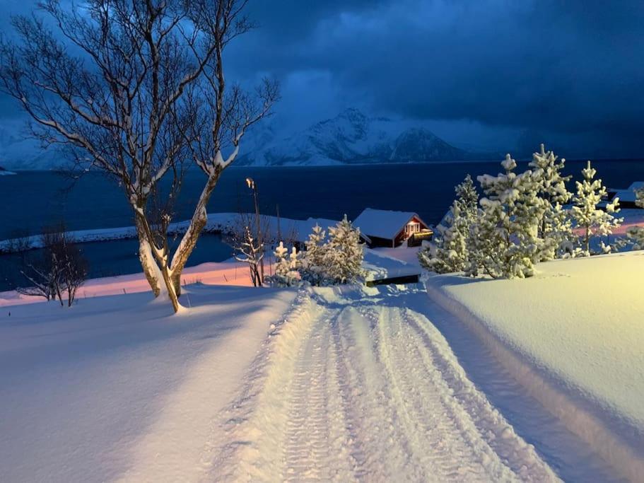Leilighet I Rorbu Pa Kaldfarnes - Yttersia Senja Esterno foto