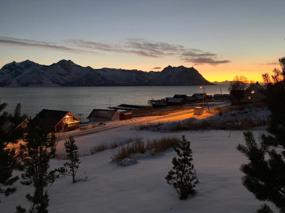 Leilighet I Rorbu Pa Kaldfarnes - Yttersia Senja Esterno foto