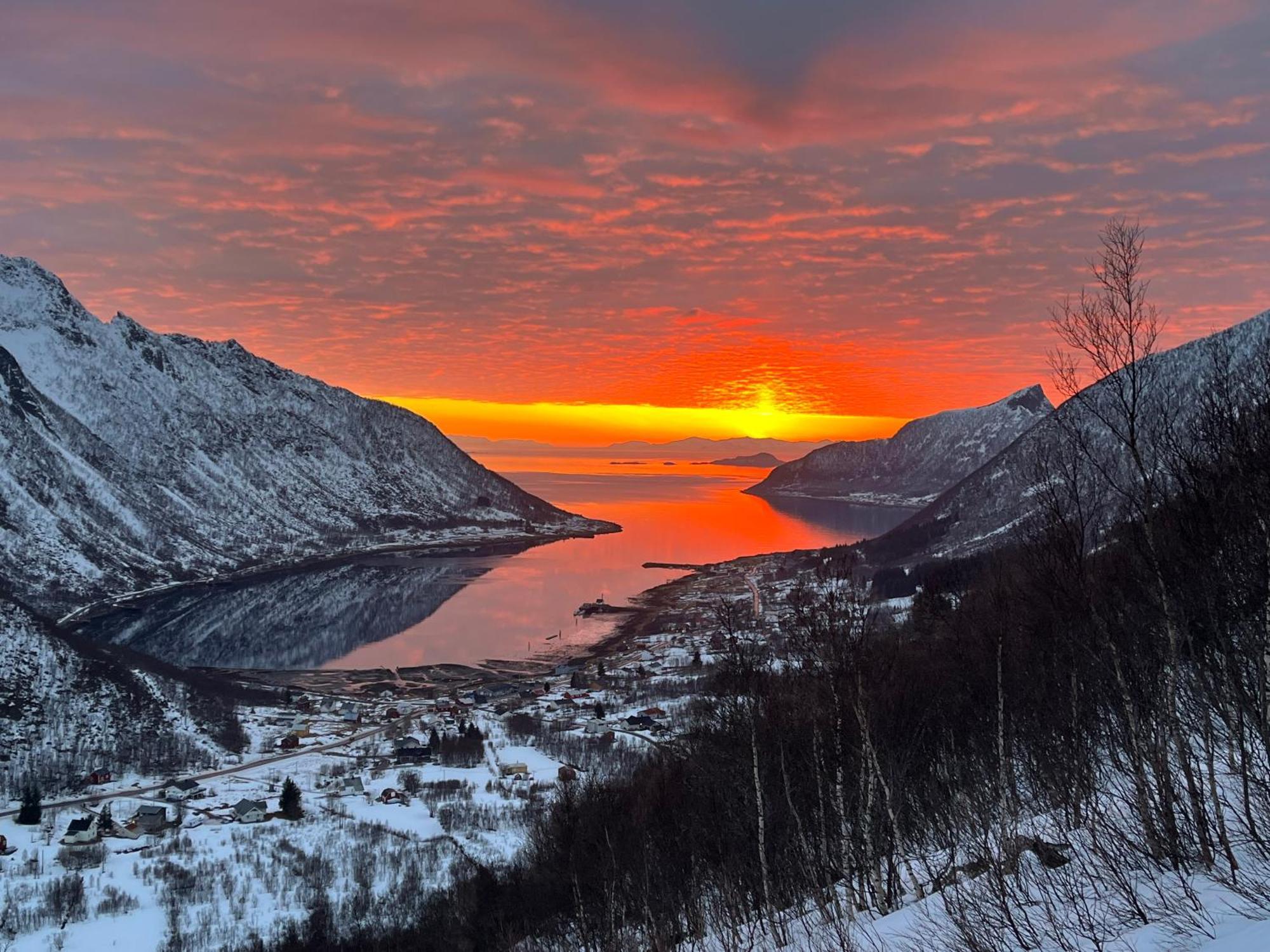Leilighet I Rorbu Pa Kaldfarnes - Yttersia Senja Esterno foto